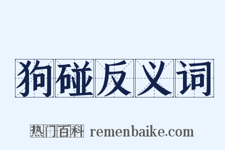 狗碰反义词是什么意思的图片
